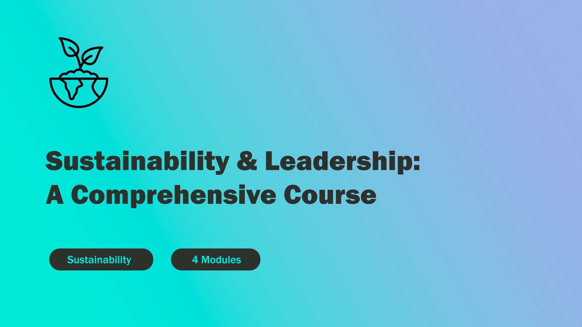Sustainability and Leadership: A Comprehensive Course