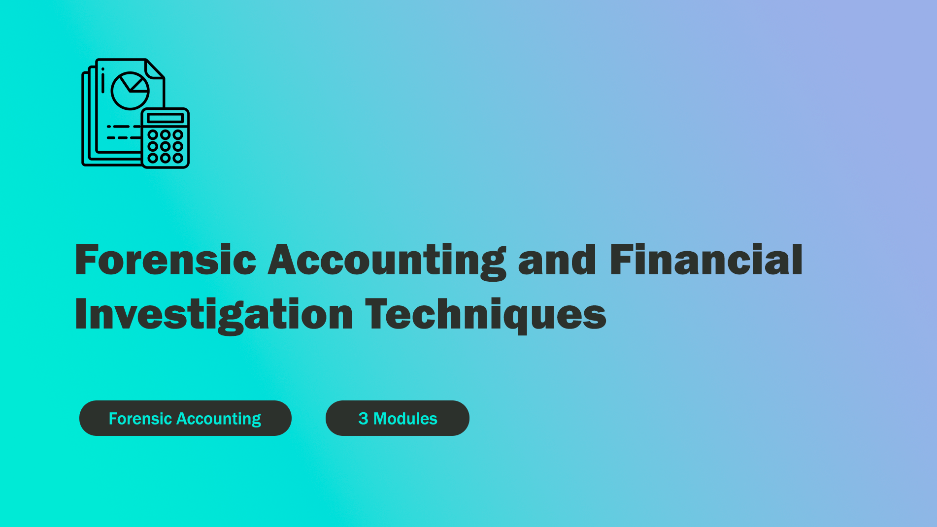 Forensic Accounting and Financial Investigation Techniques